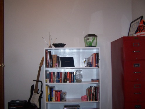 This is the wall that the futon faces. The bookshelf holds all of our school books. Above that is empty because it is for the projection screen. We have a large frame for the area, but it has yet to be hung. The file cabinet is an old Shaw-Walker that I painted bright red. 